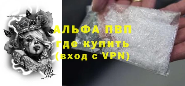 индика Балабаново