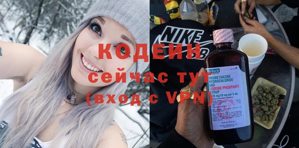 индика Балабаново