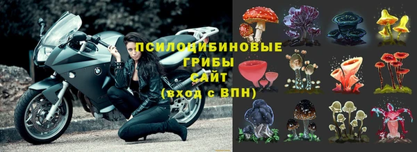 трава Балахна