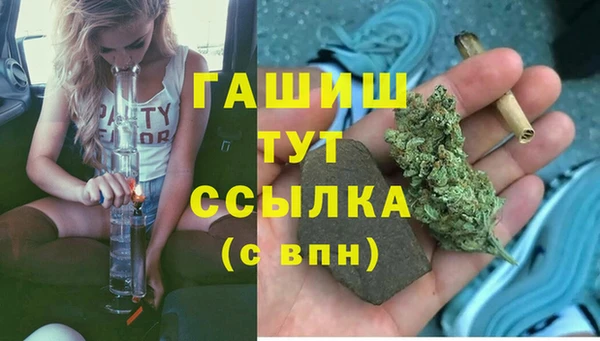 индика Балабаново