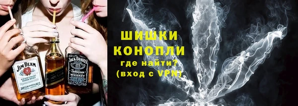 индика Балабаново