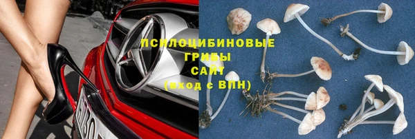 трава Балахна