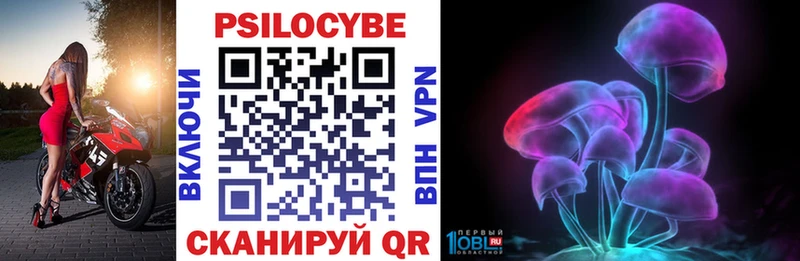 Галлюциногенные грибы Psilocybe Нерехта